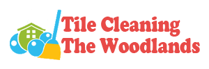 Tile Cleaning The Woodlands